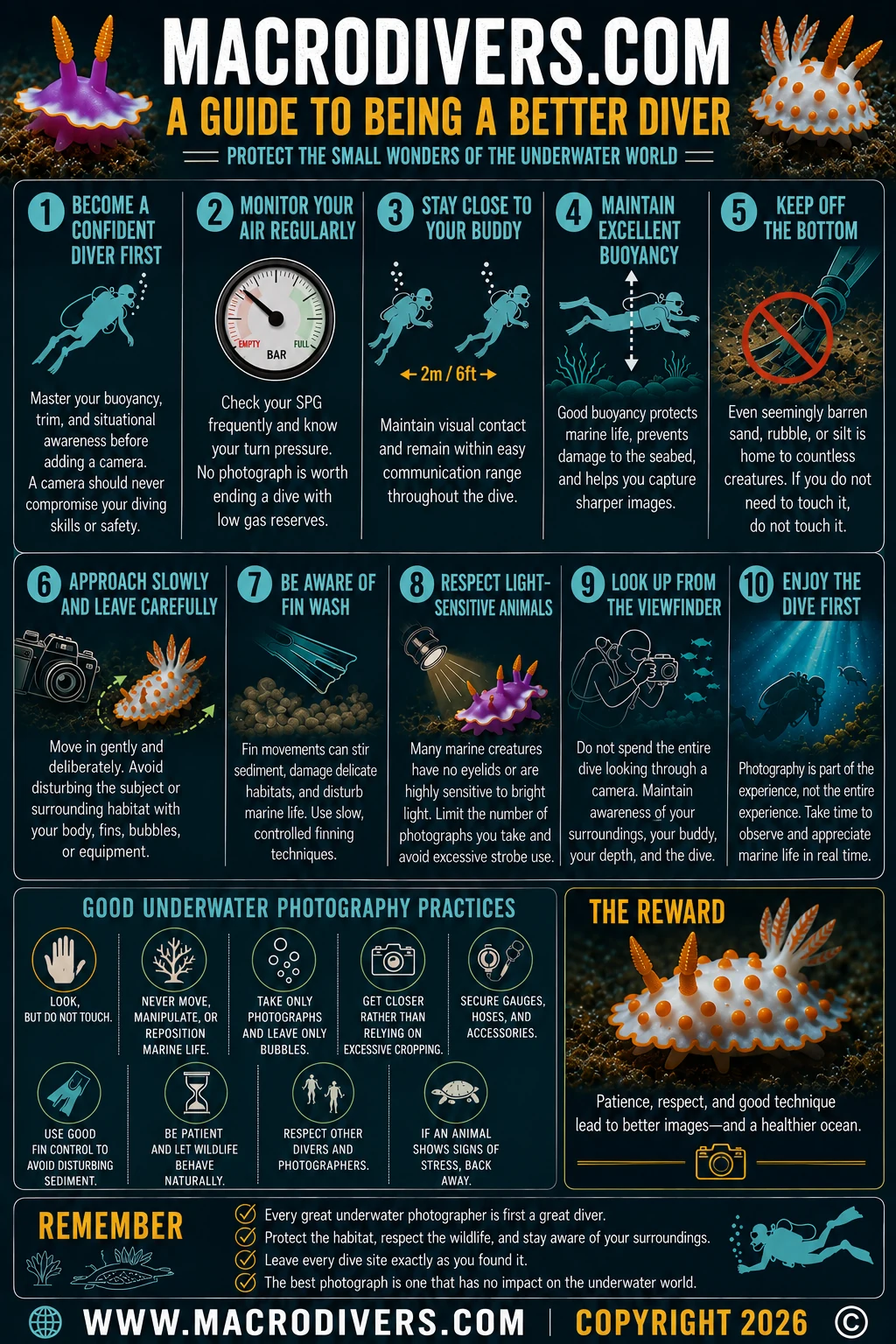 MacroDivers.com guide to being a better diver while photographing nudibranchs and other small marine life