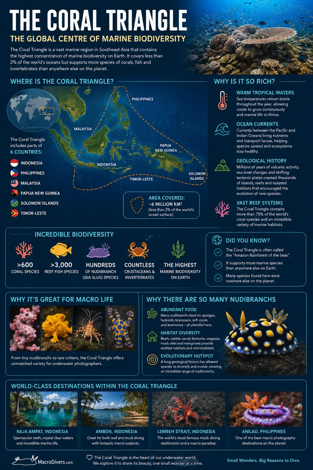 Infographic showing the Coral Triangle region, countries, biodiversity and why it is rich in macro life and nudibranchs