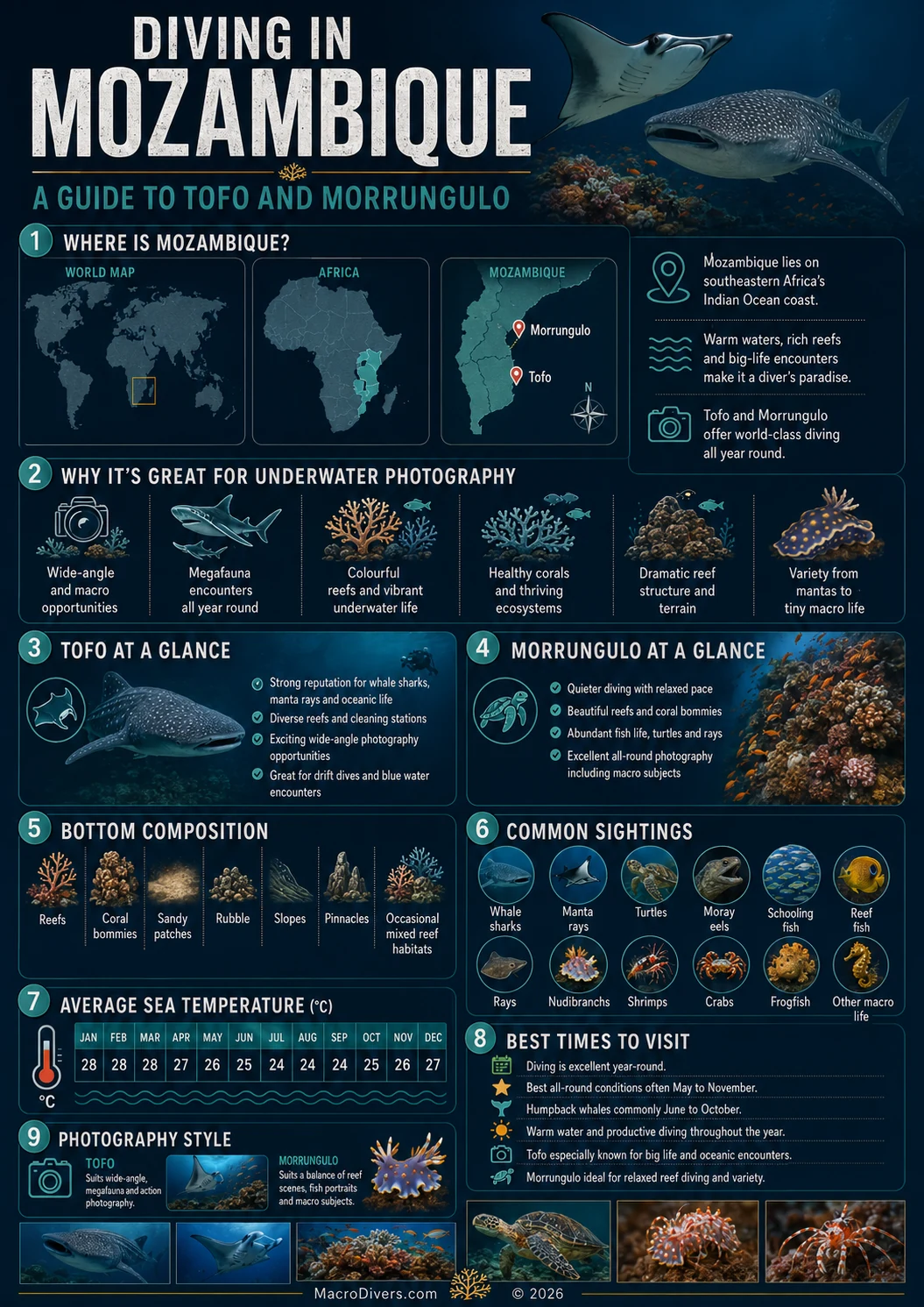 Mozambique diving guide infographic covering Tofo and Morrungulo