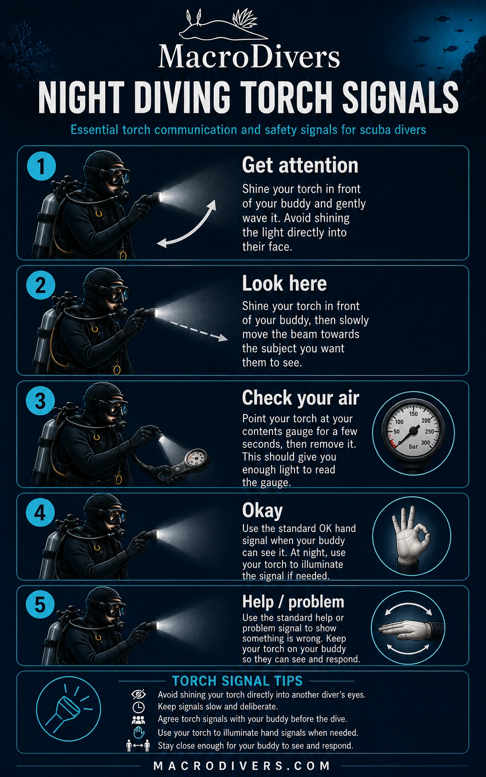 Night diving torch signals infographic showing get attention, look here, check your air, OK and help or problem signals