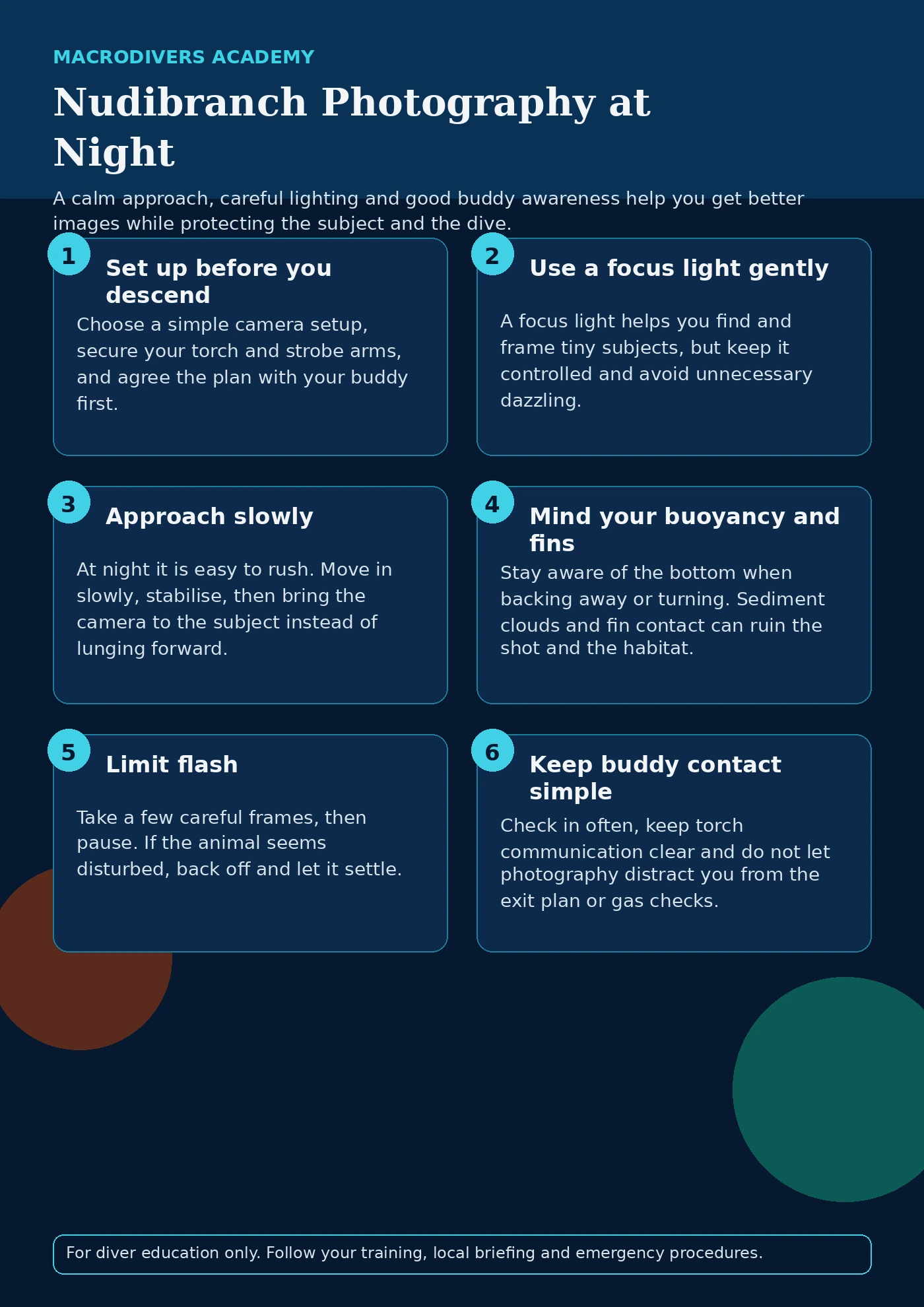 MacroDivers infographic on nudibranch photography at night covering setup, focus lights, approach, buoyancy, flash control and buddy awareness.